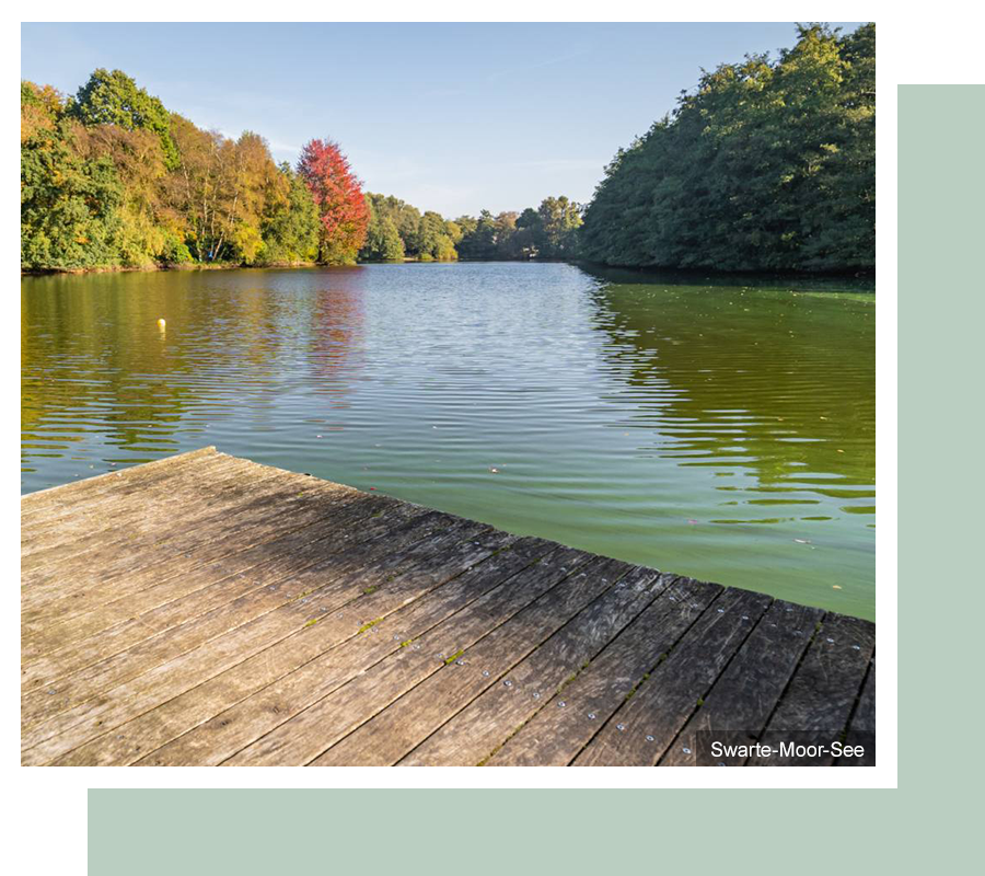 swarte-moor-see