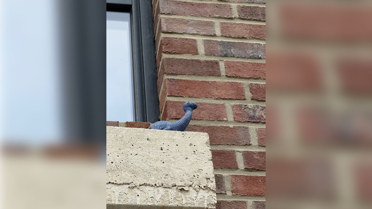 traumhaus-oldenburg-2025-05-26_04